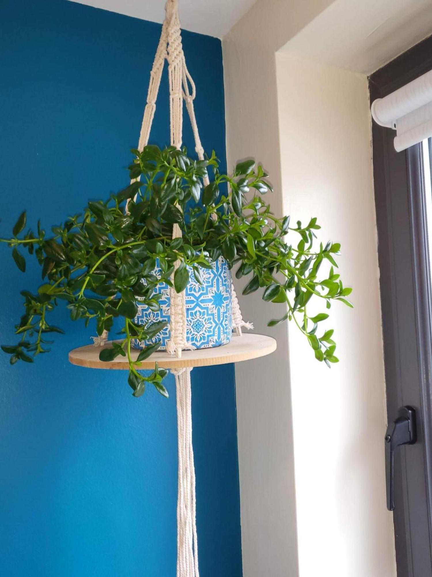 Ross Mill Apartment Белфаст Екстериор снимка
